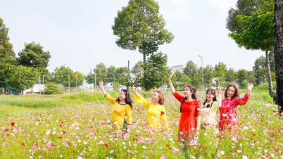 หลงทางท่ามกลางดอกไม้นับพันดอกในวันปีใหม่ที่เมืองเกิ่นโถ