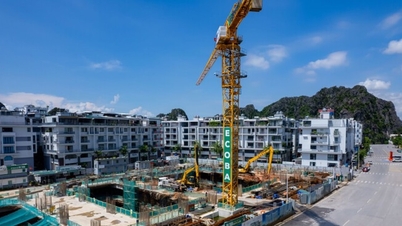 Proyek Monbay Ha Long setinggi 28 lantai di Quang Ninh diperkirakan akan diserahkan pada kuartal pertama tahun 2027.