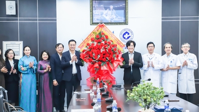 លោក ឡេ ង៉ុក ក្វាង លេខាគណៈកម្មាធិការបក្សទីក្រុងដាណាំង អបអរសាទរទិវាគ្រូពេទ្យវៀតណាម (ថ្ងៃទី១៧ ខែកុម្ភៈ)។