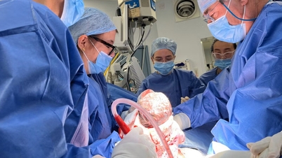Het eerste kind in Groot-Brittannië werd geboren uit een baarmoeder die was gedoneerd door een overleden vrouw.