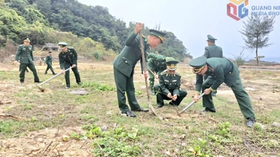 트란 아일랜드 국경 경비대가 2026년 나무 심기 축제를 개최합니다.