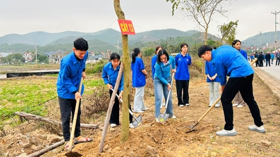 บั๊กนิญ: ปลูกต้นไม้เกือบ 37,000 ต้นในช่วงต้นฤดูใบไม้ผลิปี 2026 (ปีม้า)