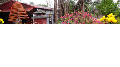ভ্যান ফুক প্যাগোডা শান্তি ও সৌভাগ্যের জন্য নববর্ষের প্রার্থনা অনুষ্ঠানের আয়োজন করে।