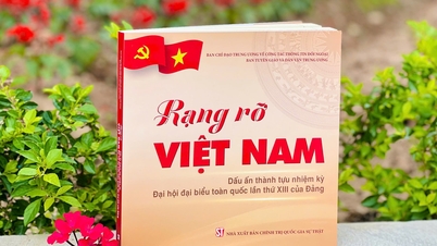 Memperkenalkan buku "Vietnam yang Bersinar - Tanda Prestasi dari Kongres Nasional Partai Komunis Vietnam ke-13"