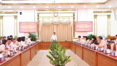 Kota Ho Chi Minh: Mencetak kartu pemilih yang kompatibel dengan sistem data penduduk nasional.