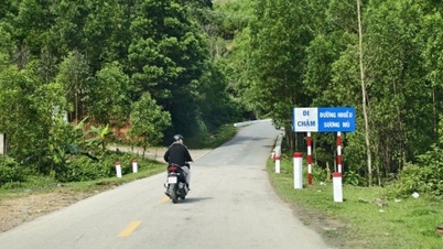 Chủ tịch Quảng Ngãi đôn đốc thực hiện 2 dự án giao thông hàng chục nghìn tỷ đồng