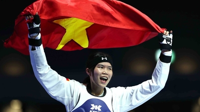 De Vietnamese taekwondo-sport ontvangt een onderscheiding van de Wereld Taekwondo Federatie.
