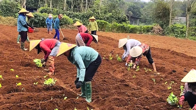 Phụ nữ giúp nhau lúc khó khăn, hoạn nạn