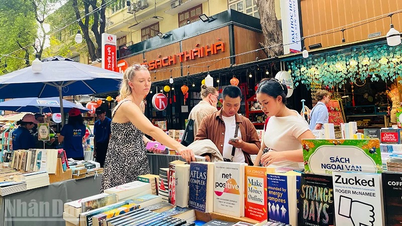 Кількість іноземних відвідувачів Книжкової вулиці в Хошиміні під час святкування Нового року за місячним календарем значно зросла.