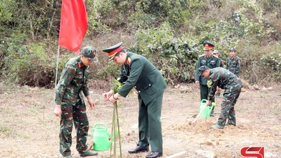 Musim semi adalah waktu untuk menanam pohon - sebuah tradisi indah masyarakat Vietnam.