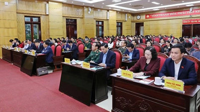 Thanh Hoa: Implementando ações de mobilização de eleitores e campanhas eleitorais.