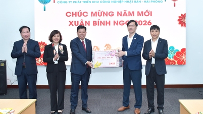 O vice-presidente do Comitê Popular da cidade de Hai Phong, Le Trung Kien, trabalha em conjunto com o Parque Industrial Japonês de Hai Phong e a Alfândega.