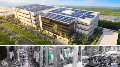 VNVC در سرمایه‌گذاری در یک خط تولید واکسن با فناوری پیشرفته، تقویت سلامت ملی و امنیت اقتصادی همکاری می‌کند.