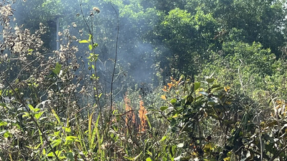 Orașul Ho Și Min își consolidează măsurile de prevenire și control al incendiilor forestiere.