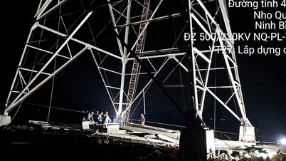 La construcción de proyectos de transmisión de energía se reanudará inmediatamente después de las vacaciones del Tet.