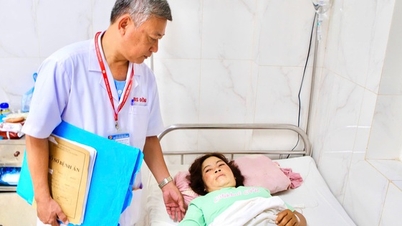 Les médecins mettent en garde contre les accidents du travail pendant la saison de la récolte du « pétrole ».