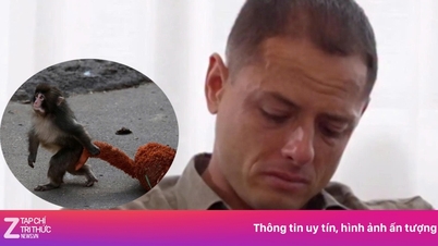 Den "ensamma" apungen fick Chicharito att brast i gråt.