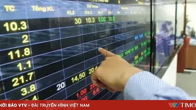 Индекс VN вырос почти на 7,5 пунктов.