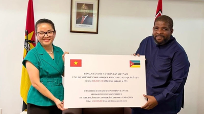 Wietnam przekazuje Mozambikowi 100 000 dolarów na pomoc w walce ze skutkami powodzi i ulewnych deszczy.
