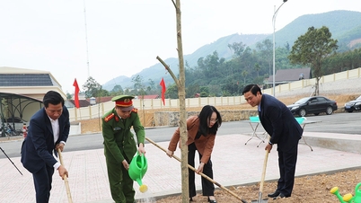 Bac Ninh: Komune Son Dong melancarkan "Festival Penanaman Pokok sebagai Rasa Terima Kasih Abadi kepada Pak Cik Ho" Musim Bunga 2026