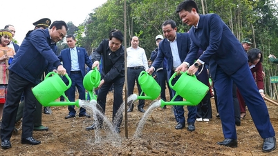 ประธานหลงเกือง: เทศกาลปลูกต้นไม้เป็นการปลูกฝังความรับผิดชอบในการปกป้องสิ่งแวดล้อม