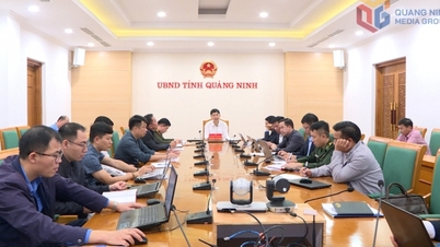 The National Steering Committee on Combating IUU Fishing held its 31st meeting.