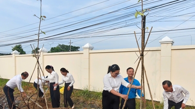 El Tribunal Popular de la Región 7 – Tay Ninh participa en el 'Festival de Plantación de Árboles en recuerdo eterno del Presidente Ho Chi Minh'.