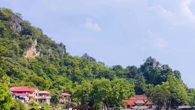 វត្តថាយបានស្វាគមន៍ភ្ញៀវទេសចរចំនួន ៥០,០០០ នាក់ក្នុងរយៈពេល ៦ ថ្ងៃនៃបុណ្យតេត (បុណ្យចូលឆ្នាំចិន)។