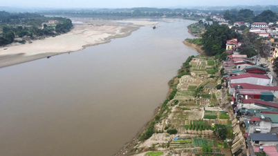 पार्टी नेतृत्व, जनता की सहमति, सरकार का दृढ़ संकल्प।