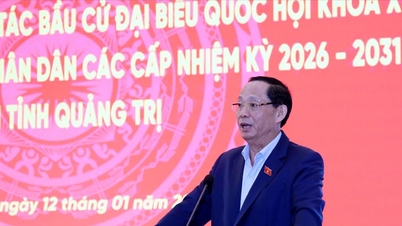 Des élections anticipées ont eu lieu dans trois zones de la commune de Truong Son, province de Quang Tri.