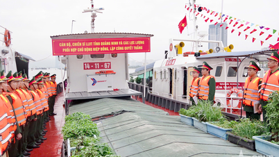 Komando Militer Provinsi Quang Ninh menugaskan tugas tersebut kepada gugus tugas antarlembaga untuk operasi penyelamatan dan bantuan permanen di Teluk Ha Long.