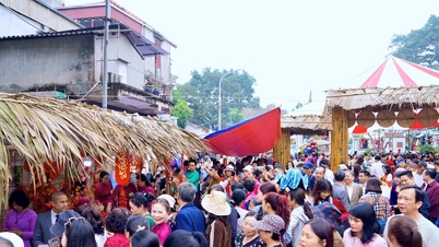 Hanoi: Phu Thuong, un pueblo centenario dedicado al cultivo del arroz glutinoso, brilla intensamente durante el festival de primavera.