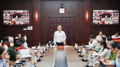 Ho Chi Minh City: Implementing election work in a coordinated, democratic, and practical manner.