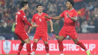 Vietnam National Team: Awaiting Justice with a Proactive Approach