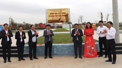 आन हाई वार्ड में स्थित वान फोंग पुष्प उद्यान और हरित क्षेत्र परियोजना को उपयोग में लाना।