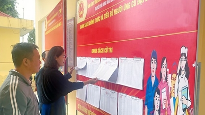 Special news in the Hanoi Moi newspaper, February 25, 2026.