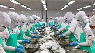 Exporting lobster to China: New advantages and challenges.