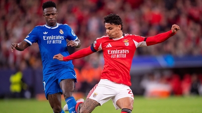 Real Madrid gegen Benfica: Prognose für das Achtelfinale – Tickets sind in der Pipeline.