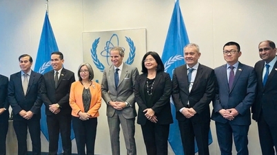 שיפור שיתוף הפעולה בין ASEAN לסבא"א בשימוש בדרכי שלום באנרגיה גרעינית ופיתוח בר-קיימא.