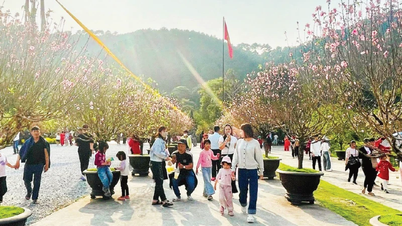 O setor de turismo do Vietnã continua sua tendência positiva de crescimento.