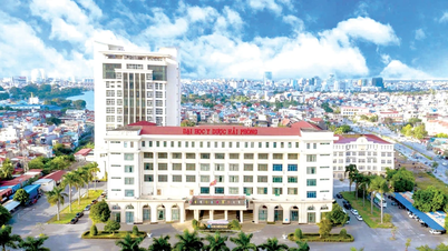 Đại học Y dược Hải Phòng: Lọt top 10 trường đại học đạt chuẩn chất lượng
