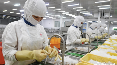 Вьетнамский инвестиционный фонд стоимостью 4,6 миллиарда долларов продолжает получать позитивные новости из США и Китая.