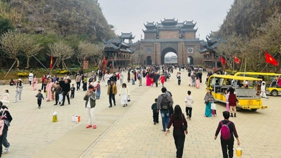 제1조: 베트남 관광 산업, 설 연휴 기간 동안 활기를 띠다.