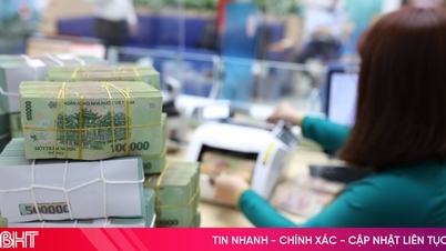 មនុស្សពេញវ័យ ៣៣% មានប្រាក់សន្សំនៅក្នុងធនាគារ។