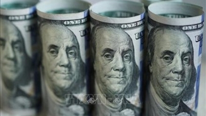 Cotação do dólar americano hoje (25 de fevereiro): O dólar americano sobe ligeiramente.
