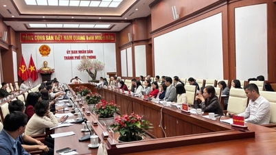 Hai Phong میں فٹ بال کی ترقی کے لیے روڈ میپ اور حل تیار کرنا۔