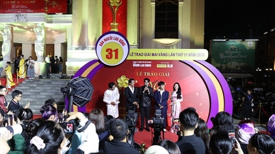 13 pembaca telah memenangi hadiah dalam pusingan pengundian untuk Anugerah Mai Vàng 31-2025.
