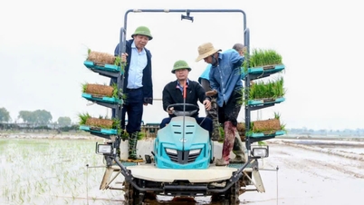 Le secrétaire du Parti et le président de la commune de Tay Phuong se sont rendus dans les rizières pour actionner la repiqueuse de riz et ont souhaité une bonne année aux agriculteurs.