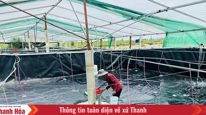 Prêts pour la saison d'aquaculture printemps-été 2026.