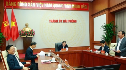 Elva viktiga ledare i Hai Phong City kandiderar till valet till den 17:e mandatperioden av stadens folkråd.